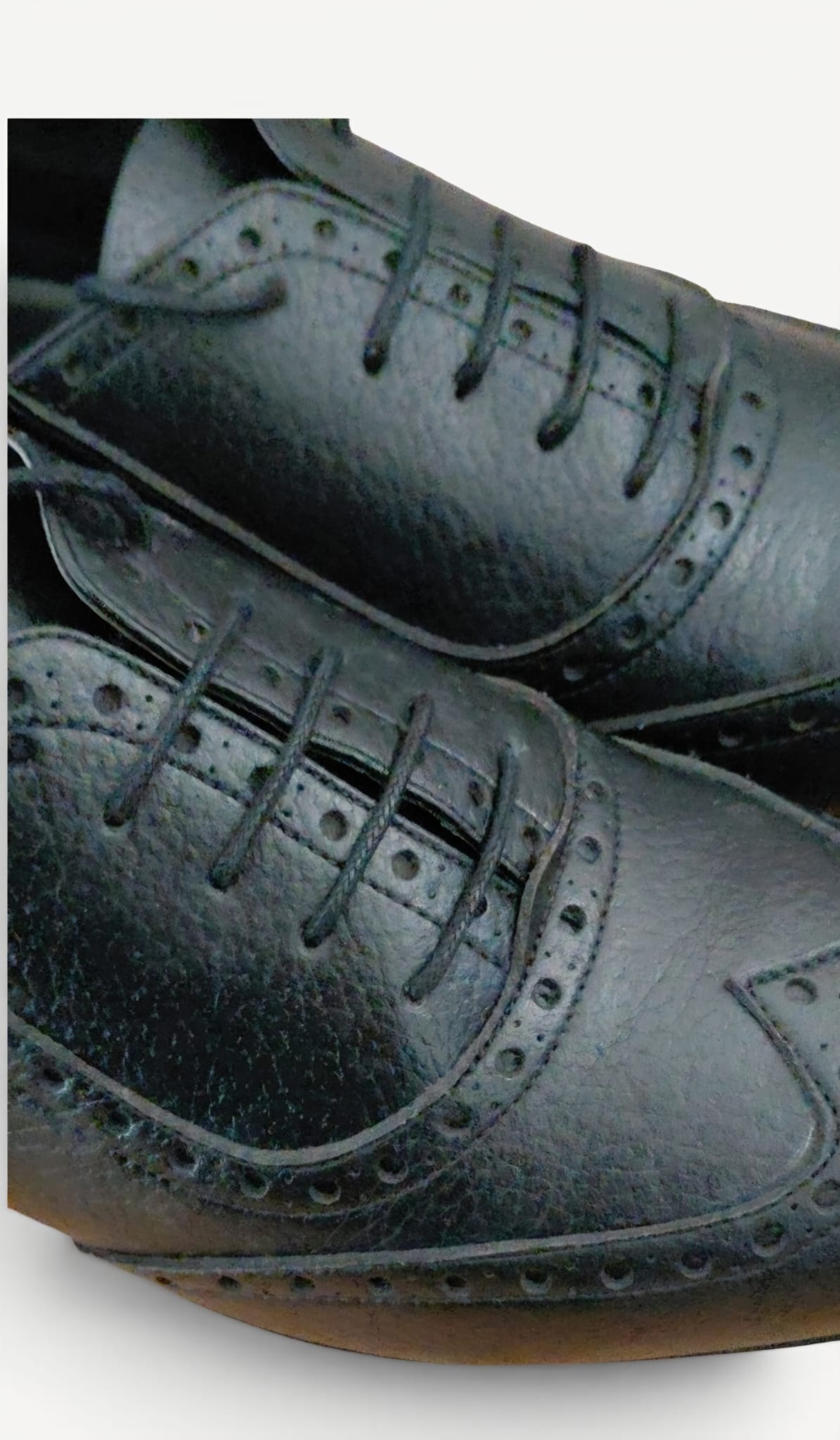 Oxford Vegan Brogue Nera - immagine 3